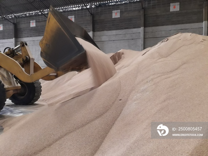 Cream-colored bulk fertilizer piles in the warehouse To store, waiting for delivery to customers