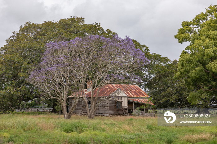 Rustic, abandoned, old house in rural NSW, Australia