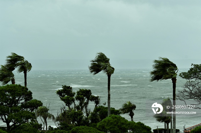 台風の風景