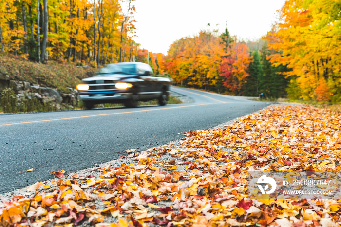 Pickup on countryside road with autumn colors and trees