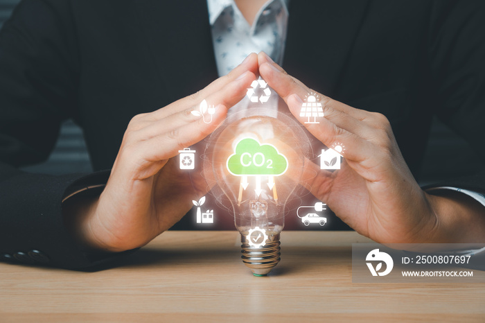 Reduce CO2 emission concept, Woman hand holding light bulb with CO2 icon on virtual screen, Sustainable development and green business based on renewable energy, electric transport.