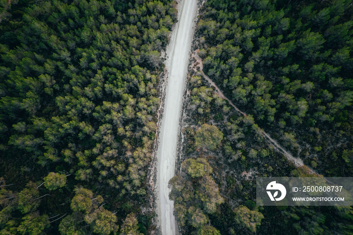 Top view of road rounded by green forest and mountains