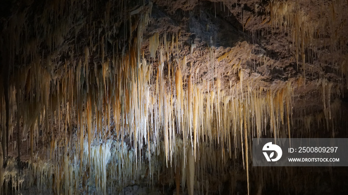 Lake Cave with suspended table in the Margaret River area of Western Australia.