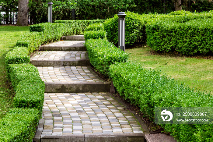 rise in steps from paving slabs in the backyard with a hedge of bushes and ground lanterns on a sunny summer day.