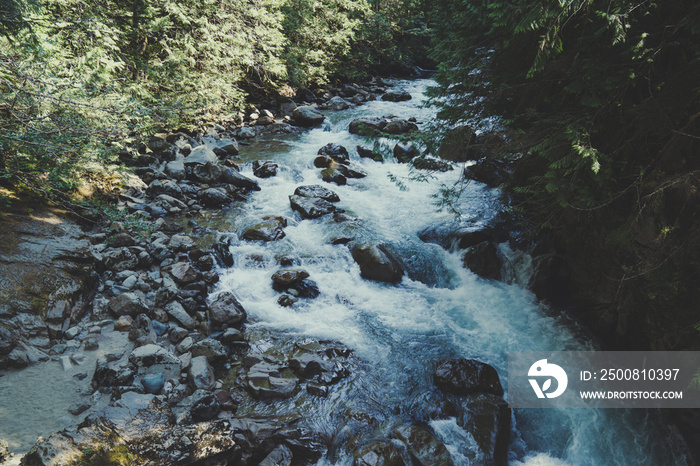 The North Fork Nooksack River in the Mt. Baker-Snoqualmie National Forest