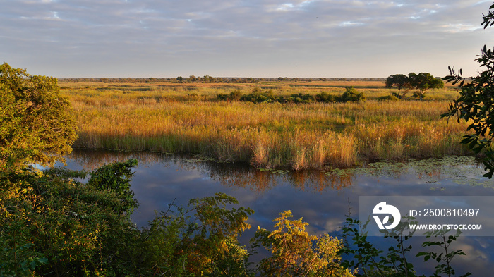 Beautiful panorama view over Kwando River and bush land with clouds reflected in the peaceful water in the morning sun in Bwabwata National Park, Caprivi Strip, Namibia, Africa.