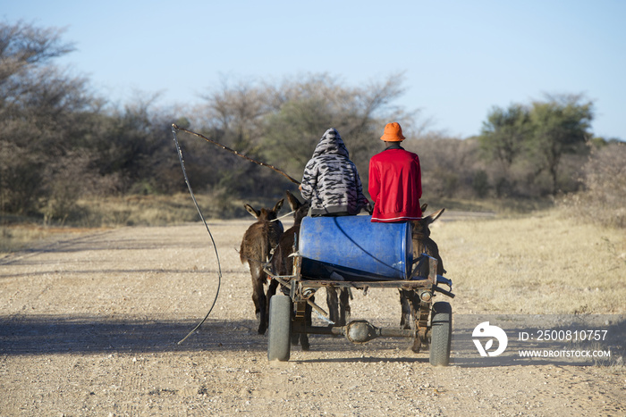 Donkey cart for collecting water in the Kalahari, Botswana