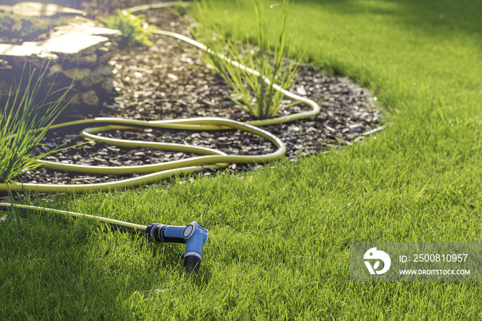 Rubber garden hose laying on lawn and bark garden rim.