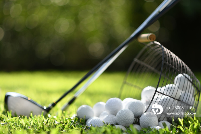 Golf balls in basket and golf clubs on green grass for practice