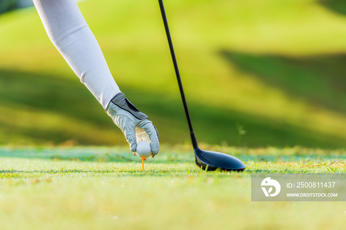 Female golfer hand holding golf ball and golf tee