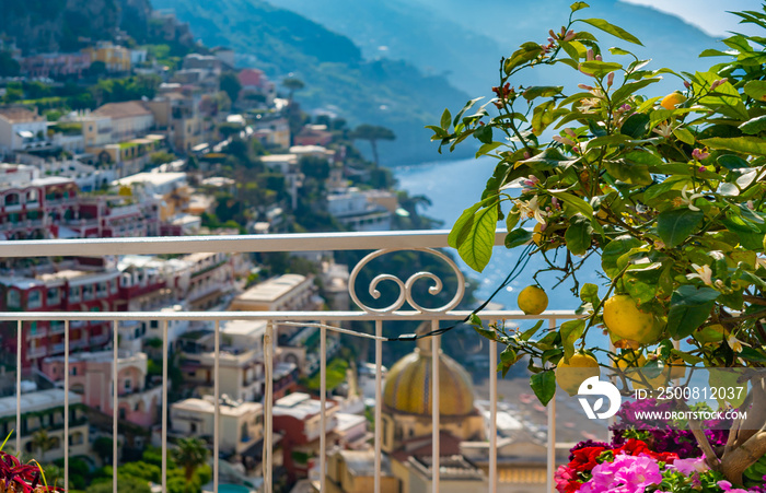 Lemon tree over blurred view of Positano at Amalfi coast.