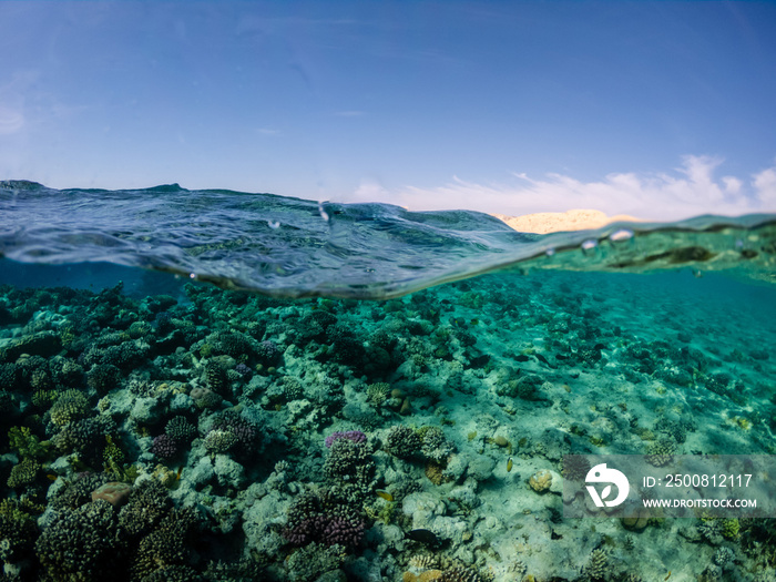 Underwater and surface split view on coral reef in exotic sea