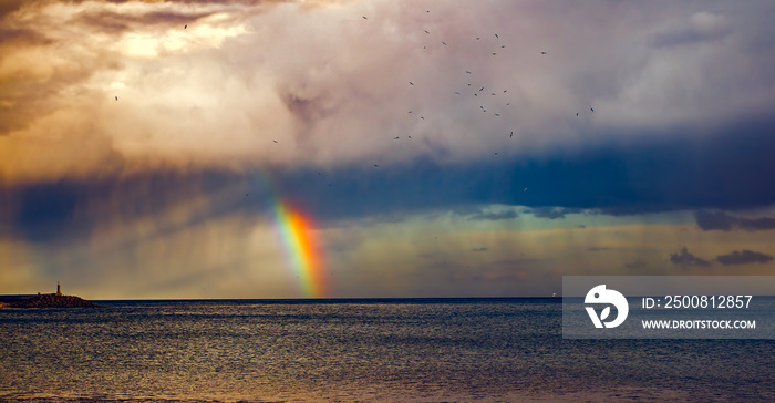 rain with rainbow and seaguls on the sea