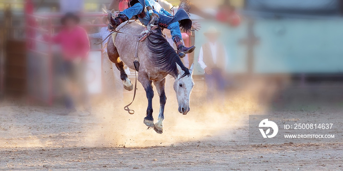 Bucking Horse Riding Rodeo Competition