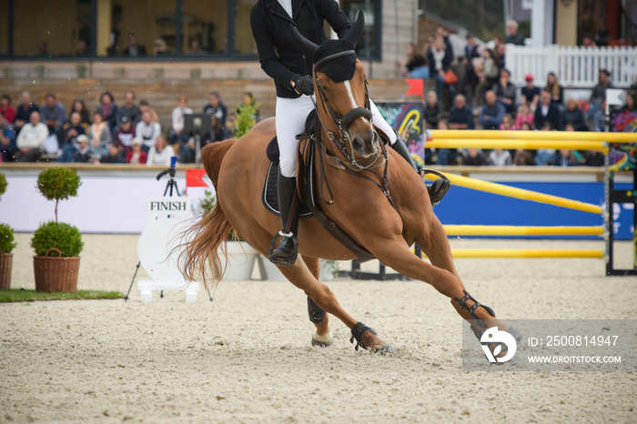 view on an equestrian show jumping competition