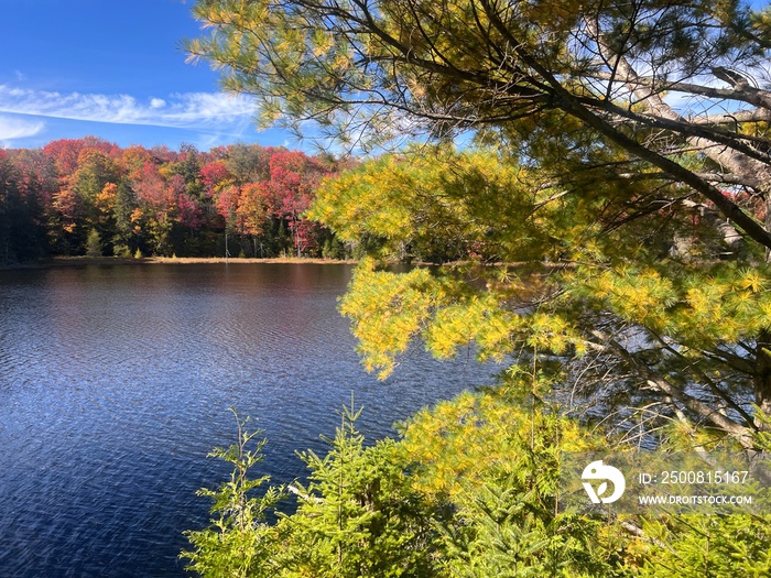 Adirondack Mountains Utica New York Fall Foliage