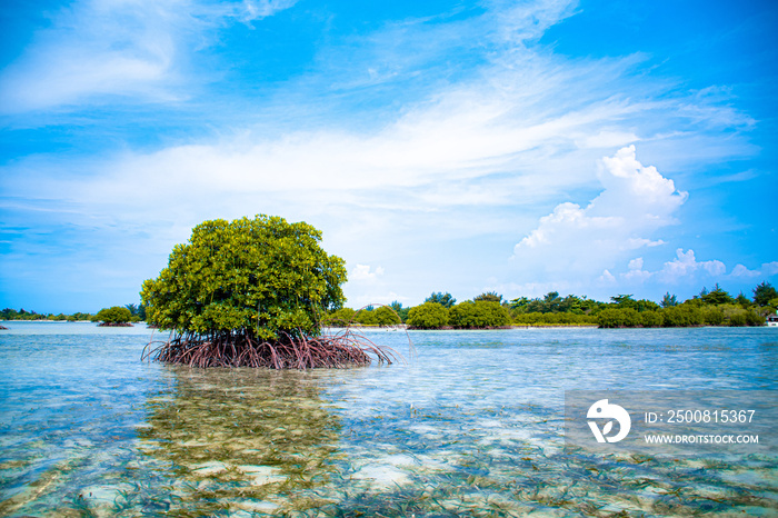 tropical island in the sea