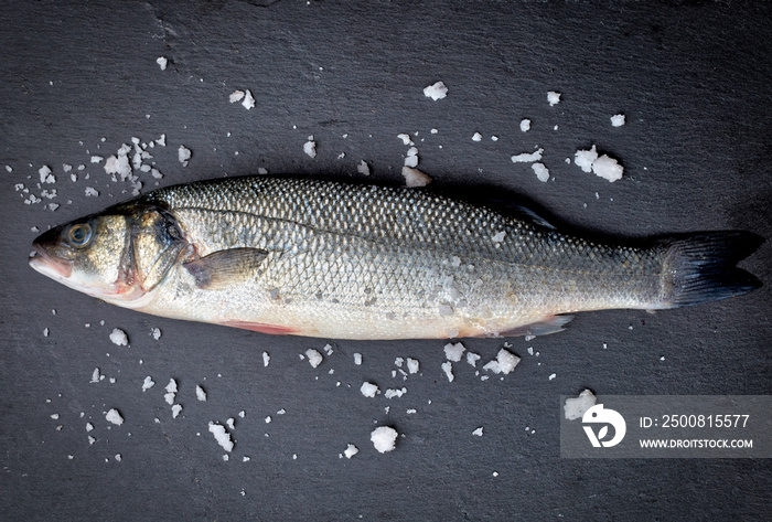 fresh whole sea bass fish with salt on black background