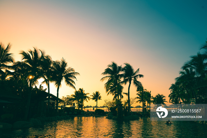 sunset on swimming pool sea view and coconut tree