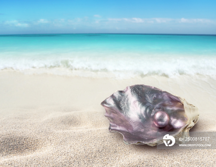Oyster shell with a pearl on the beach
