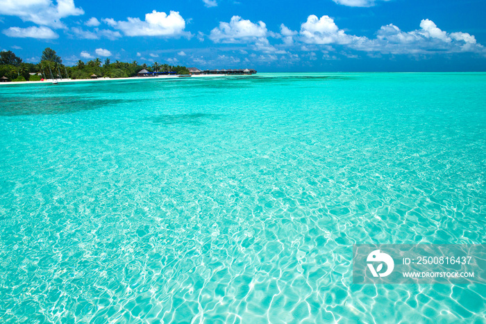 tropical beach in Maldives with few palm trees and blue lagoon