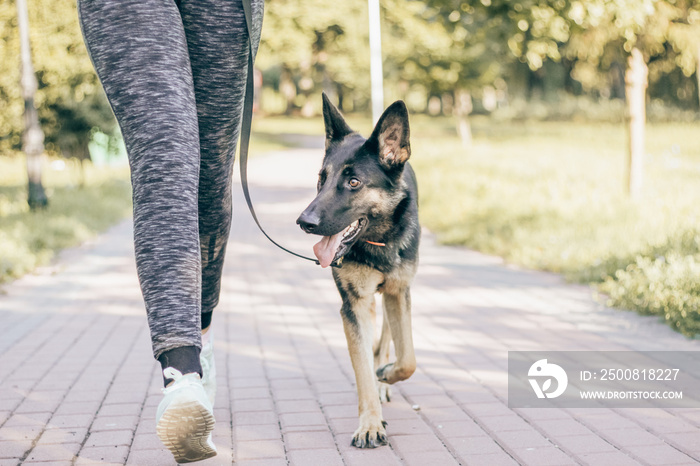 woman jogging in the park with a German shepherd