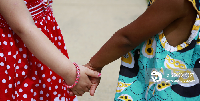 Diversity:  Caucasian and African - American little girls holding hands