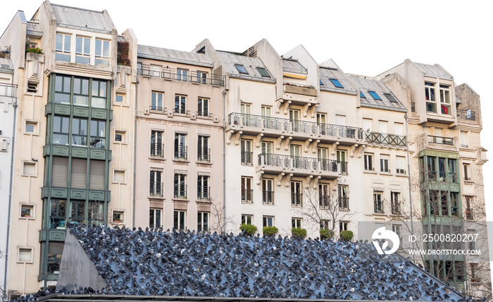 Isolated PNG cutout of a cityscape in Paris with a lot of pigeons on a transparent background, ideal for photobashing, matte-painting, concept art