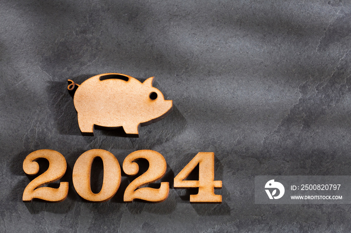 Budget for the year 2024 - Savings concept. Text space