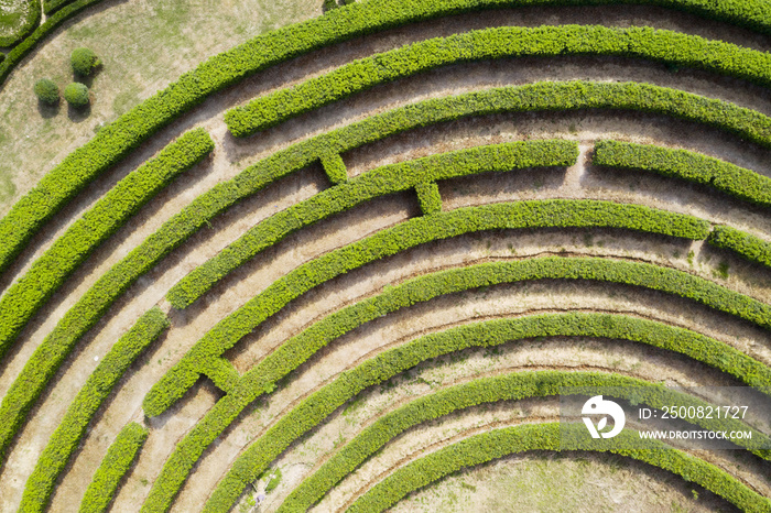 Aerial view of Green maze garden