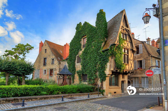 Beautiful typical traditional french fairytale ancient house overgrown with ivy in the streets of Nevers, France