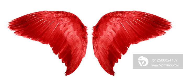 Red Angel wings an isolated on white background
