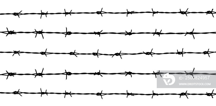 silhouette of the barbed wire on white background