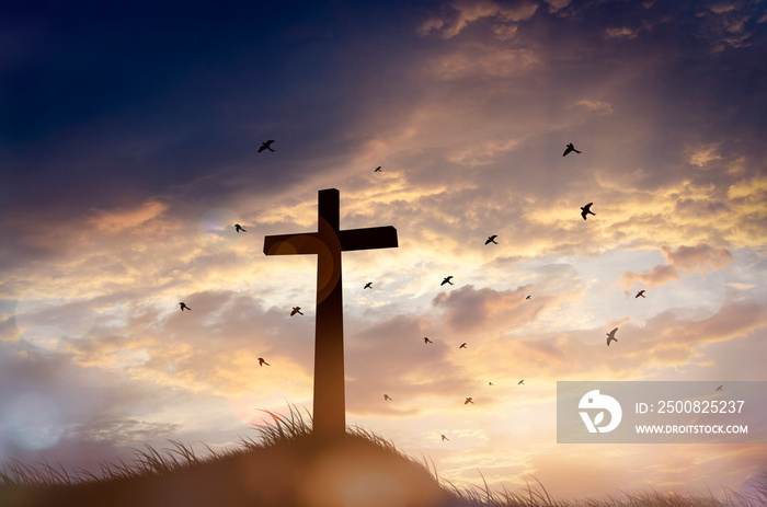 Concept conceptual black cross religion symbol silhouette in grass over sunset or sunrise sky