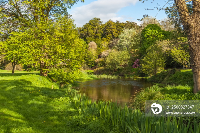 Castle gardens in Ireland in a spring robe, after a storm, Blarney Castle Cork, Ireland