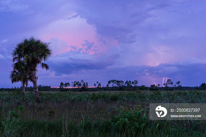 Lightning at sunset at Pine Glades Natural Area, Jupiter, Florida, Palm Beach County, USA