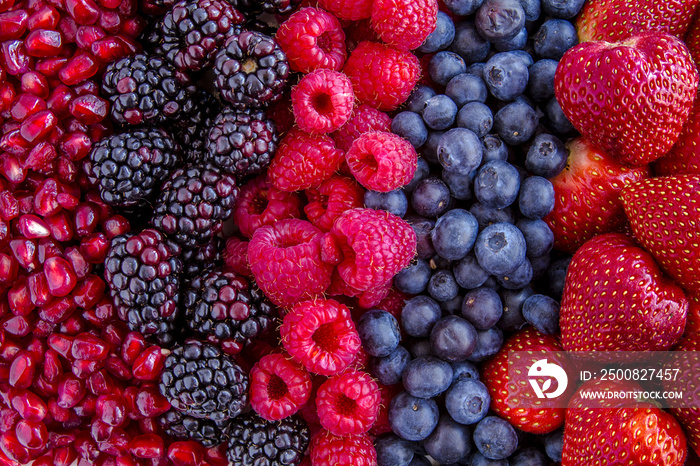 Assorted Fresh Berries and Pomegranate Seeds