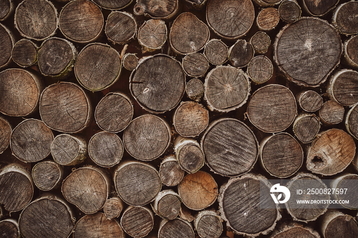 Stacked wood logs as texture. Pile wood