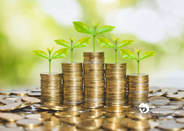 money for business investment finance and banking concept. green plant leaves growth up on row of saving coin stack on wood table with green blur nature background.