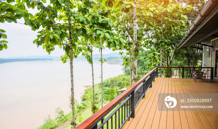 balcony and nature green tree forest / balcony view river terrace house