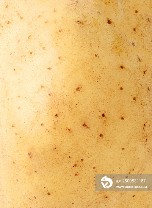 Raw potato texture close up, food background