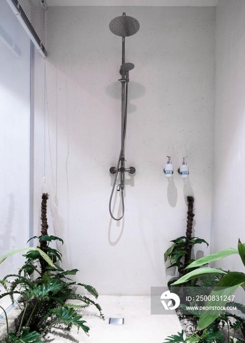 Minimalist shower room, interior of bathroom with beautiful greenery.