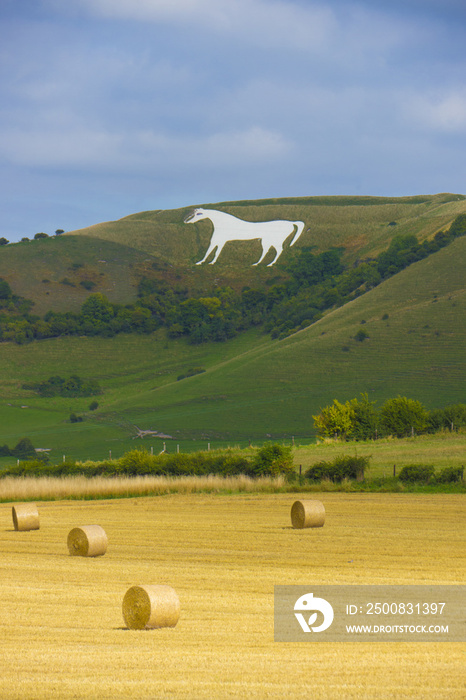 Westbury White Horse.Wiltshire,England