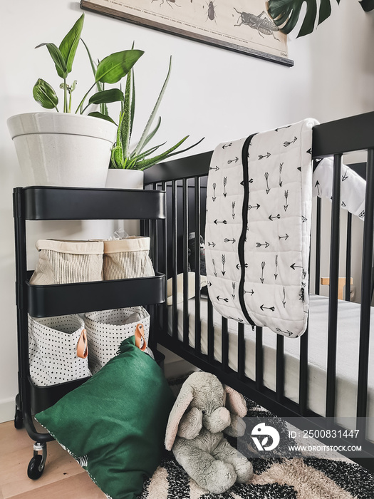 Well organized contemporary black and white baby nursery in a nature theme with plants and jungle decoration.