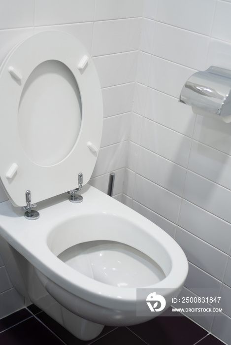 Toilet bowl view in water closet.