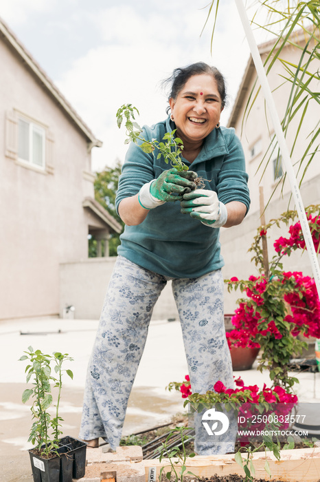 South Asian woman gardening in backyard