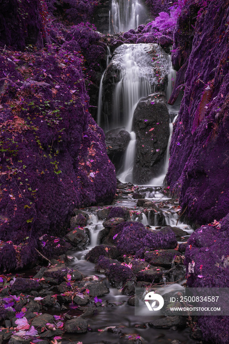 Beautiful  surreal alternative color tall waterfall flowing over lush green landscape foliage in early Autumn