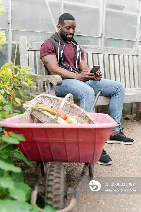 Man with smart phone sitting on bench in allotment