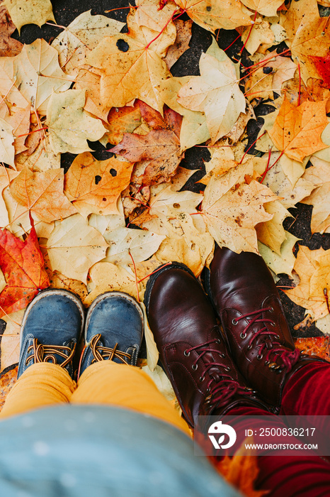 Top view of mother and child feet in leather shoes standing on autumn leaves. Walking in nature.