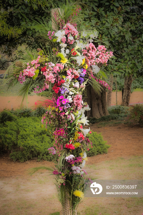 Flowering of the Easter cross, Buckhead, Atlanta, Georgia